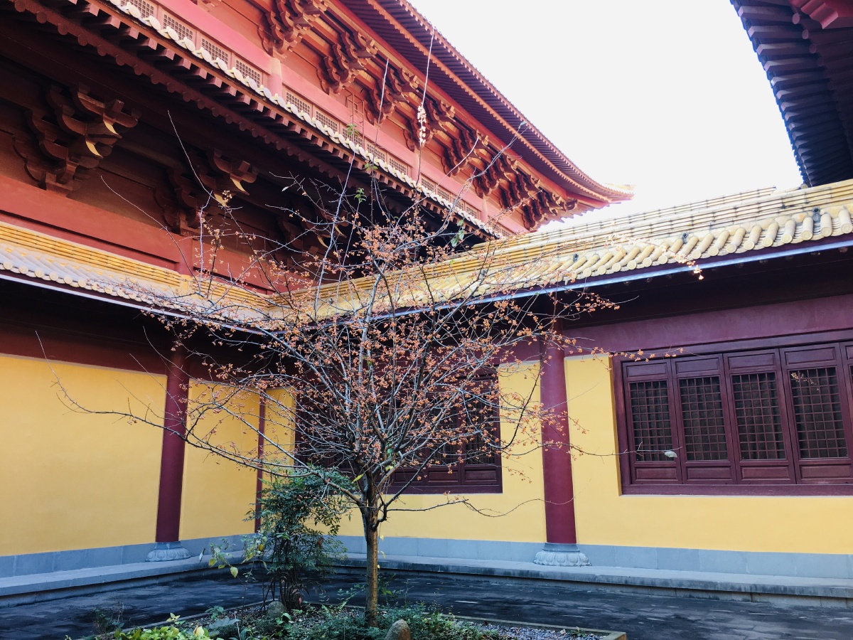 智者寺位于浙江金华尖峰山脚