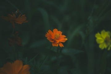 6CD04580-7C17-4445-A205-6EA3FBFB7F0E/L0/001