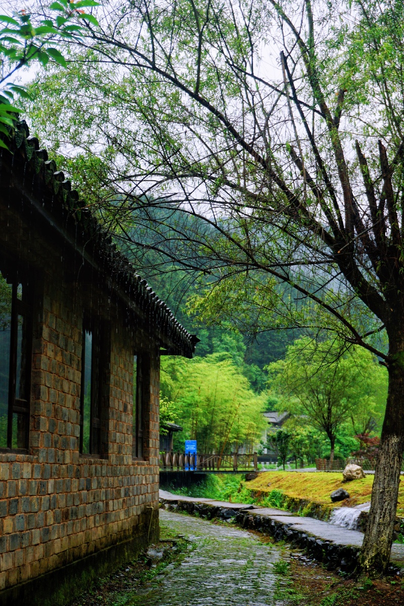 安静的乡村寂静的角落