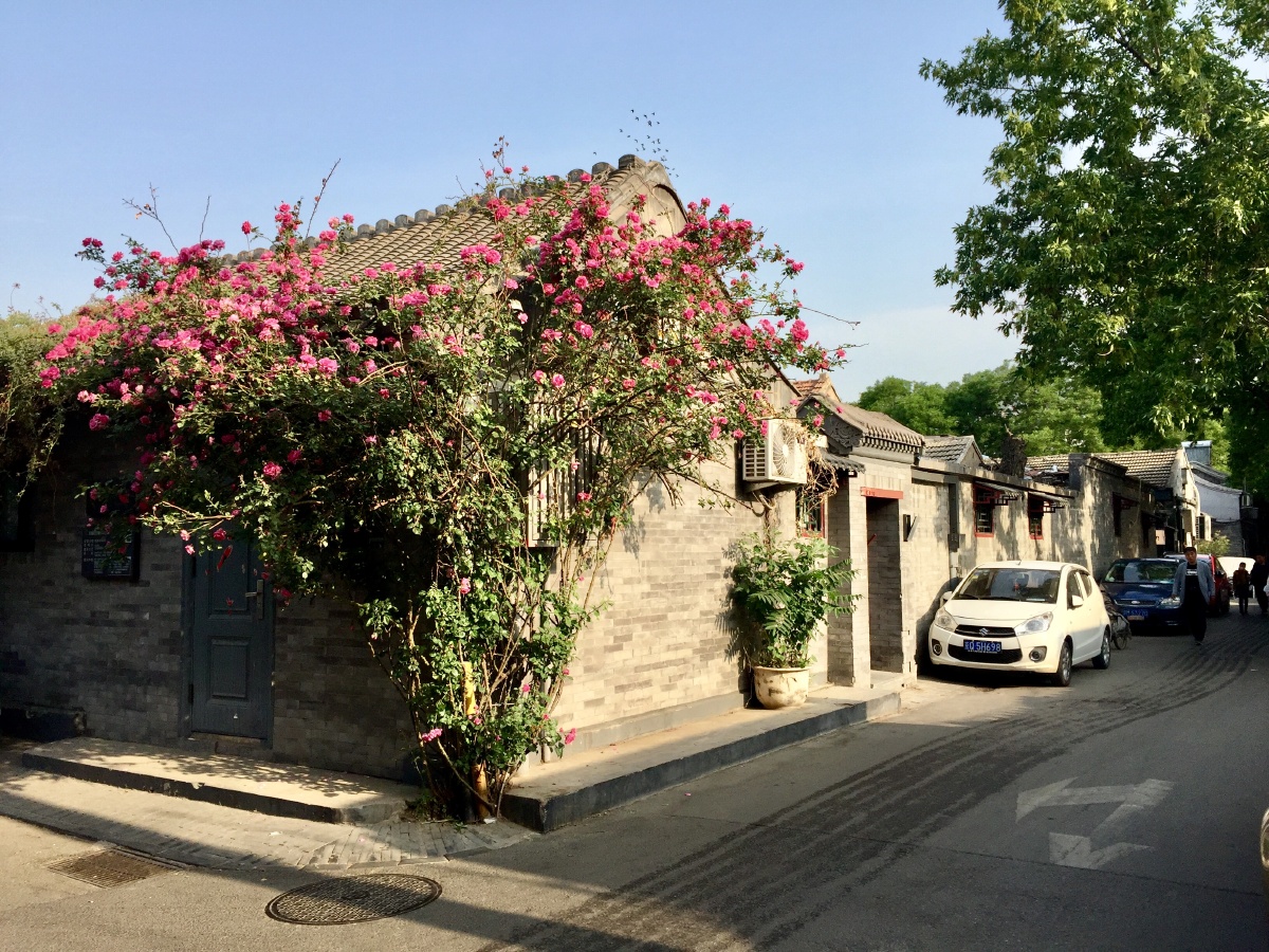 开满鲜花的小巷