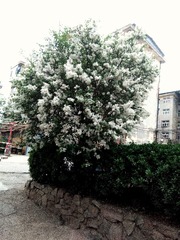 1674505