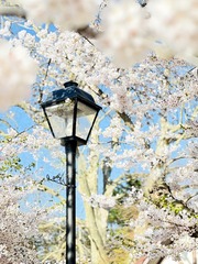 DD1C67C8-2013-45B3-B77B-01B6621330E1/L0/001