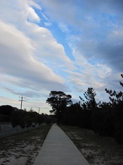 Picture 011