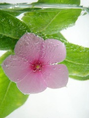 P9247439