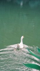 590107B5-AC75-4FE0-B7F1-FEC69FBE1B9F/L0/001