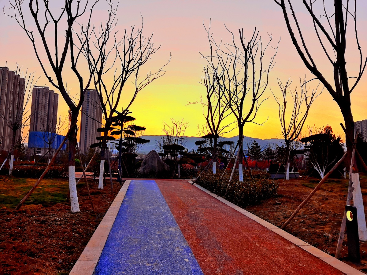 摄乐公园夕阳西下