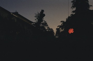 2014