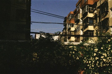 1988