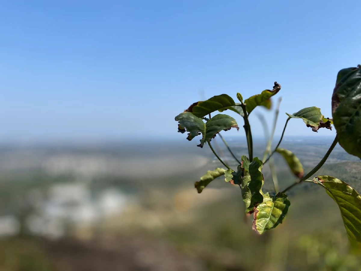 绝处逢生之意境!