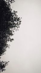 9D7FFF03-915A-43B0-AA4C-BC182381B50F/L0/001