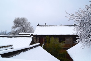 995427