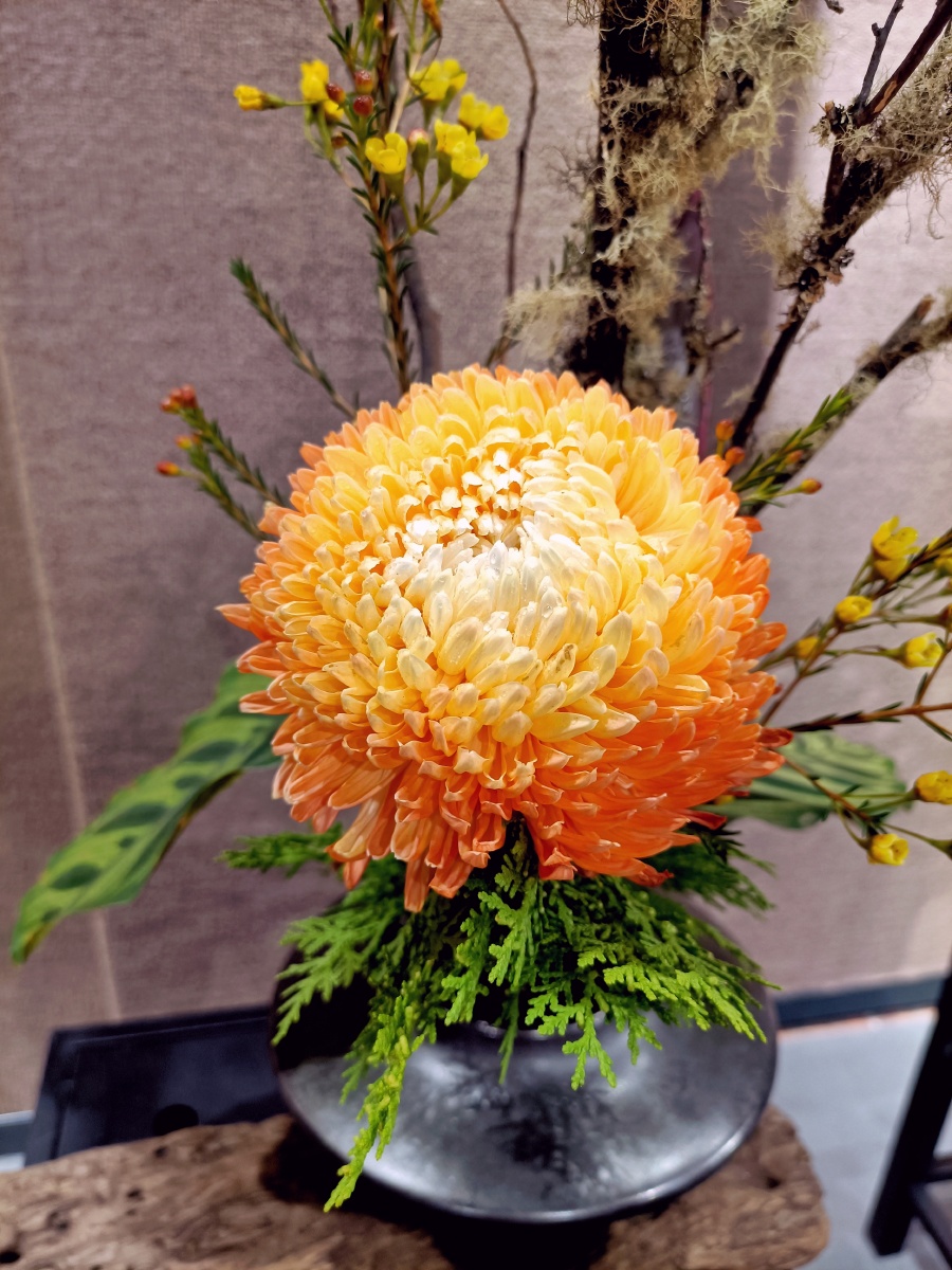 菊花插花艺术作品展览