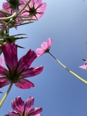 E8B832FA-F82A-49A7-8649-6757573908F9/L0/001