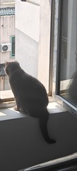 1000006821