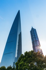 IMG_3659-编辑
