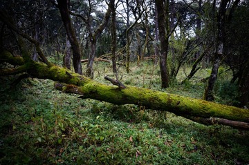 _DSC0670