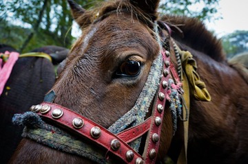 _DSC0682