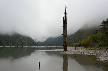 _DSC0772