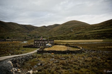 _DSC0861