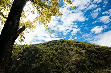 _DSC1036