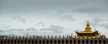 _DSC0976