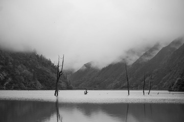 _DSC0746