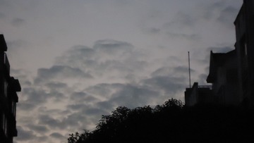 1795812