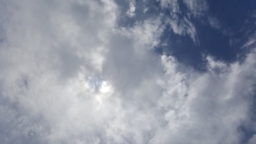 486