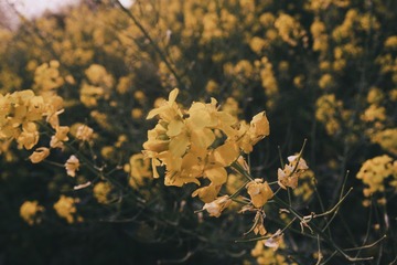 A080F3EA-5E97-47FE-8543-B54011E740E4/L0/001