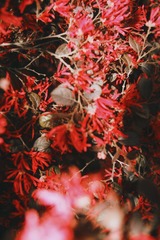 5D7BE1CE-9A61-4D9B-B0ED-0B711163CECB/L0/001