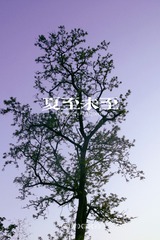 DA558B9D-C8A1-44B7-86E1-BB049600C1FC/L0/001