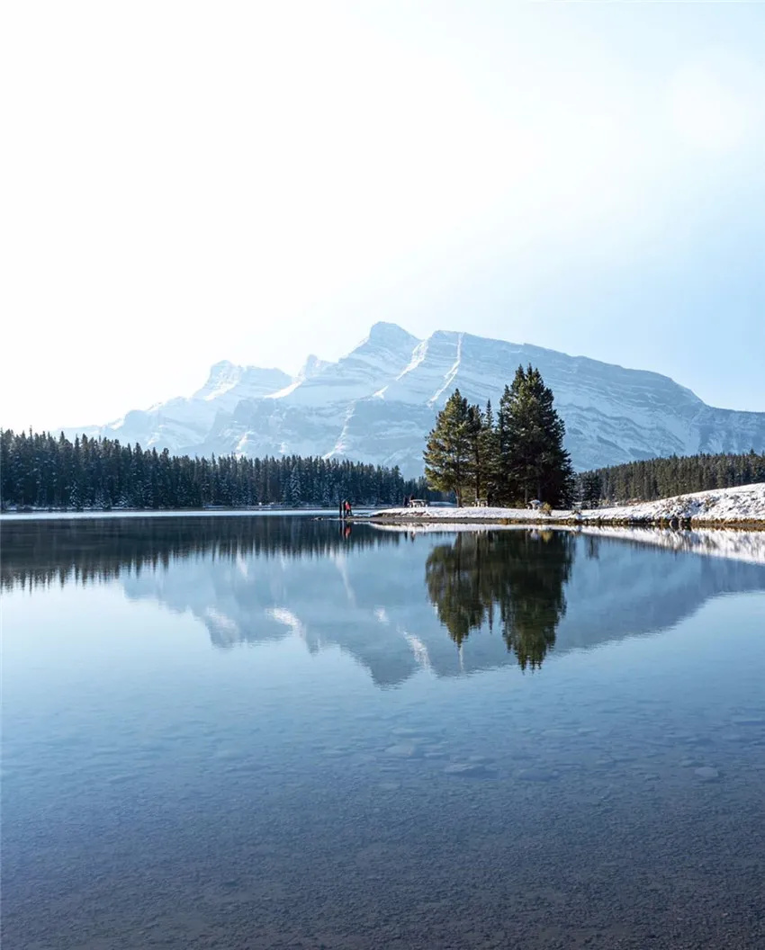 天然之作对称之美