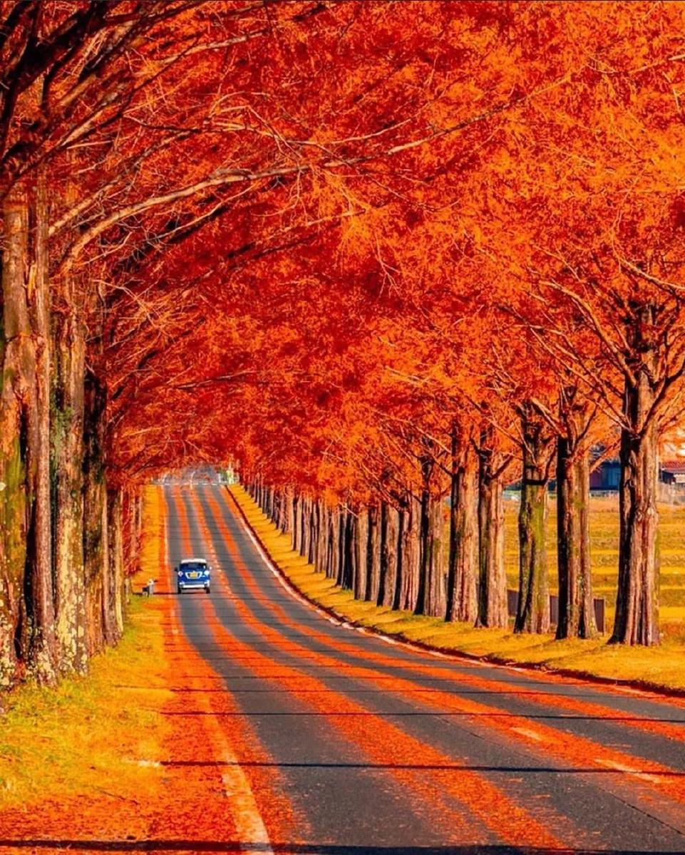 也许前方的美景才是我们的目的地但这一路的风光我们又怎能错过