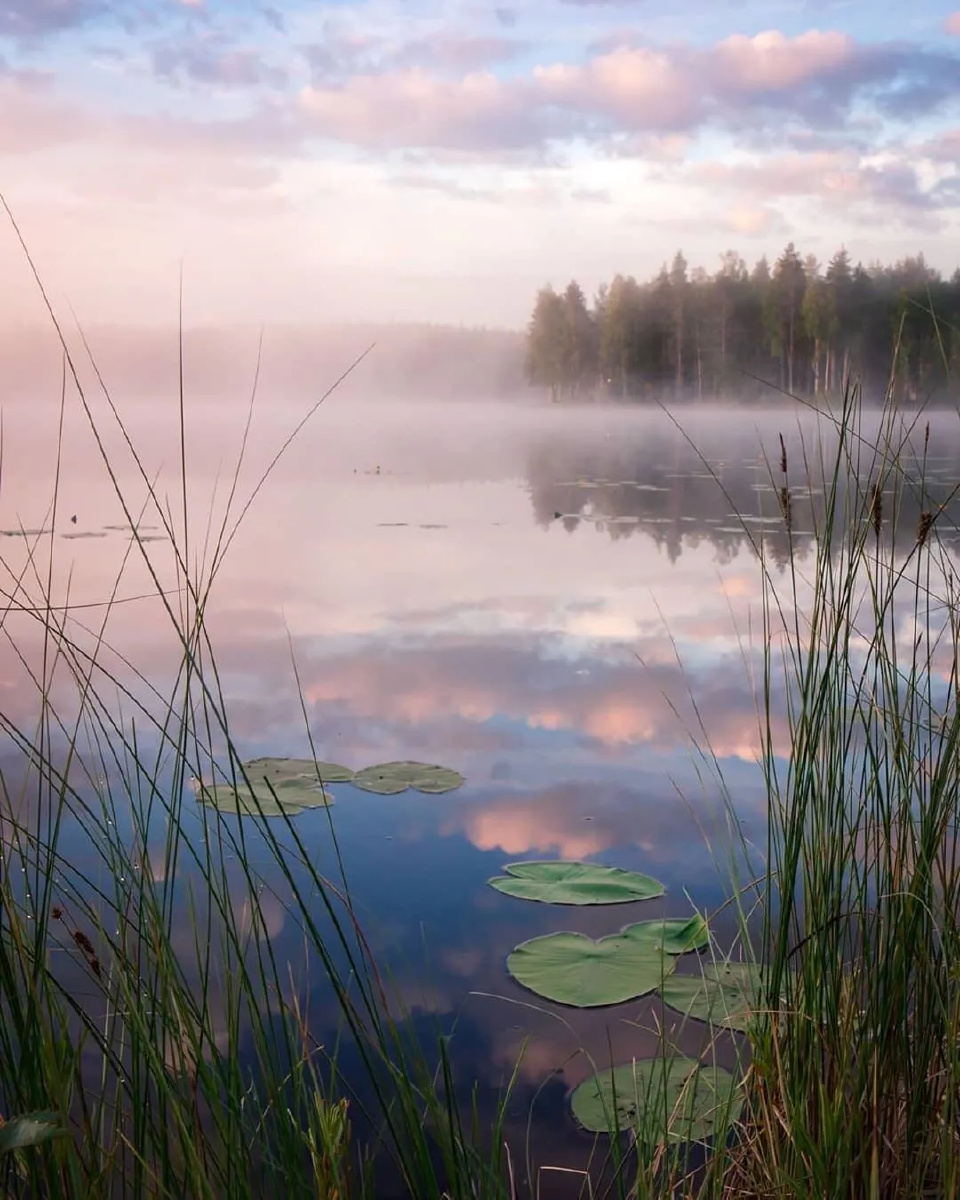 轻纱薄雾笼罩了大地像朦朦胧胧的梦境似缥缥缈缈的仙境好一片如梦似幻