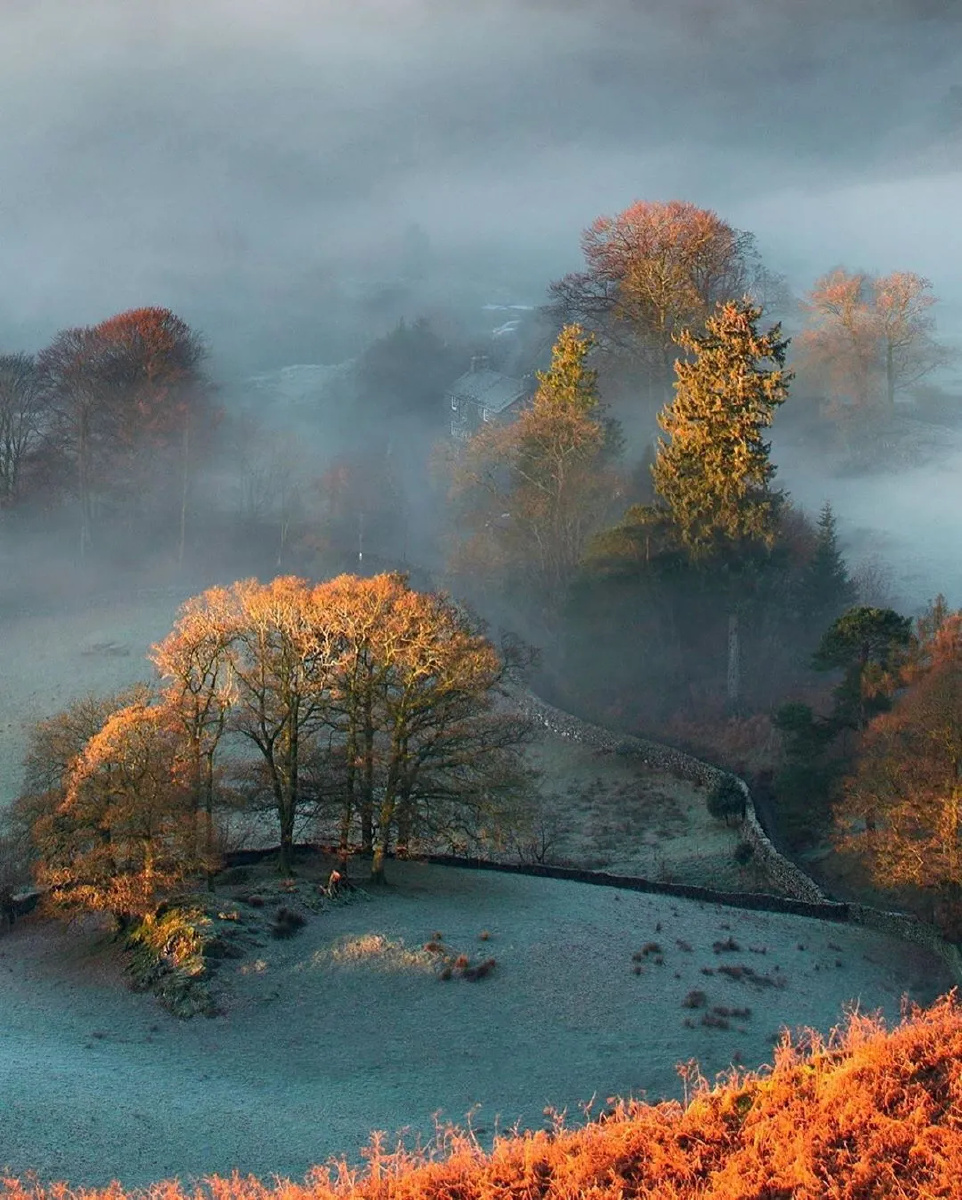 轻纱薄雾笼罩了大地像朦朦胧胧的梦境似缥缥缈缈的仙境好一片如梦似幻