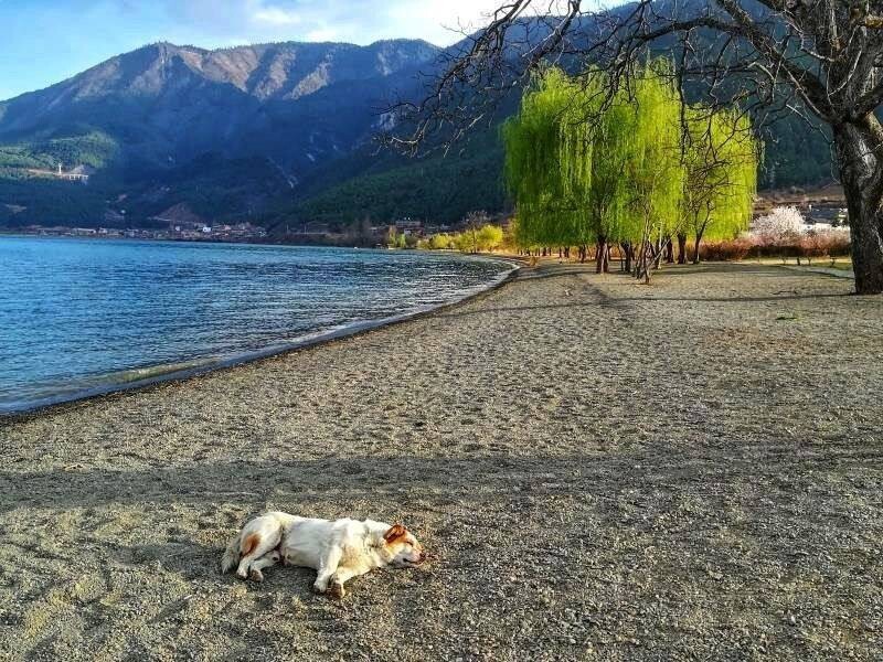 2月份国内最佳旅游景点
