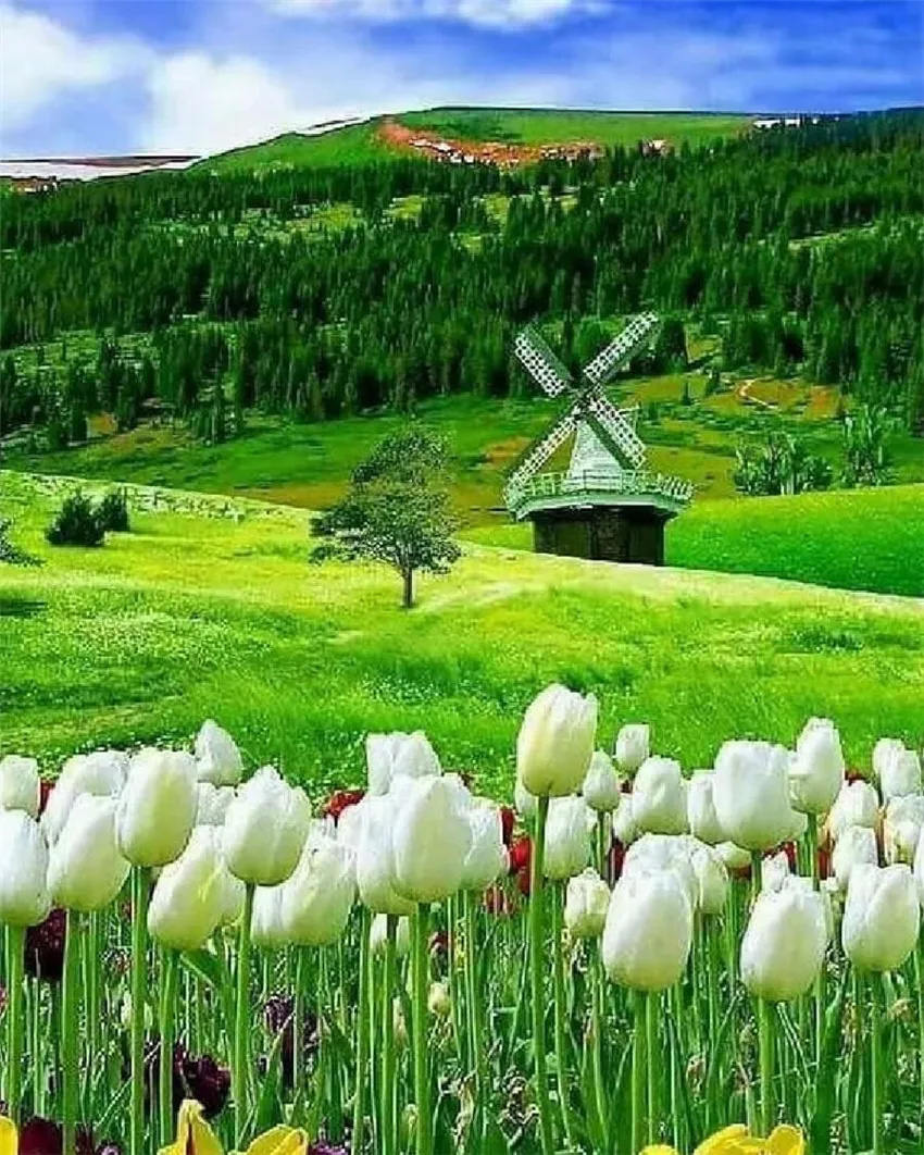 不管是绿草如茵还是绿树成荫不管是青山如黛还是绿水成碧这样的绿都是