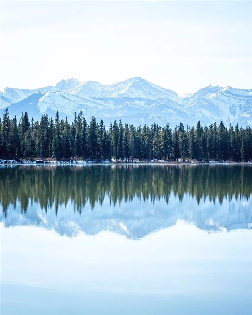 天然之作对称之美