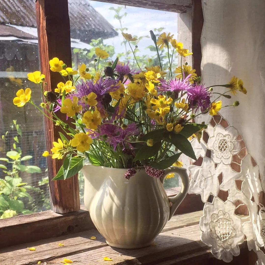 正因为有挥洒入窗的阳光窗台上已不再是一瓶鲜花而更像是一座花园