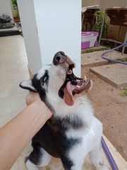 1721654