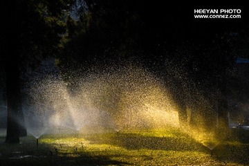 夕阳下的水