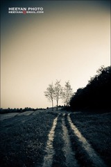 路
