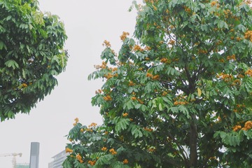 C486C4AB-9B93-425A-ABCE-173E1AC7A8A5/L0/001