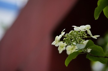 1670142