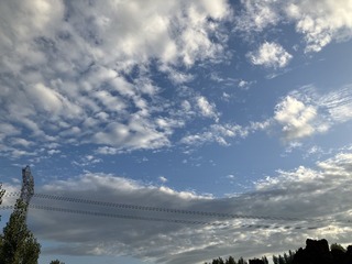 5761669D-23EF-40E1-964D-B14559560BA1/L0/001