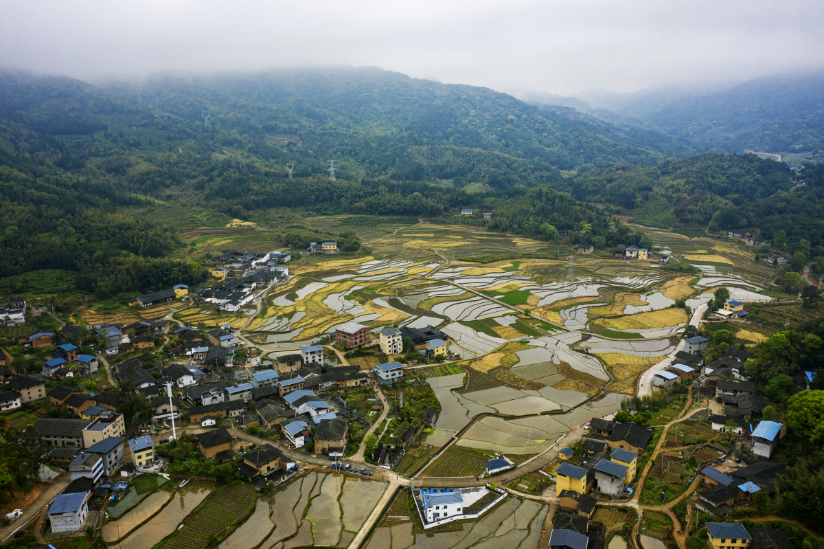 福建闽清樟洋村这里有美丽的梯田还有清华大学乡村振兴工作站闽清站