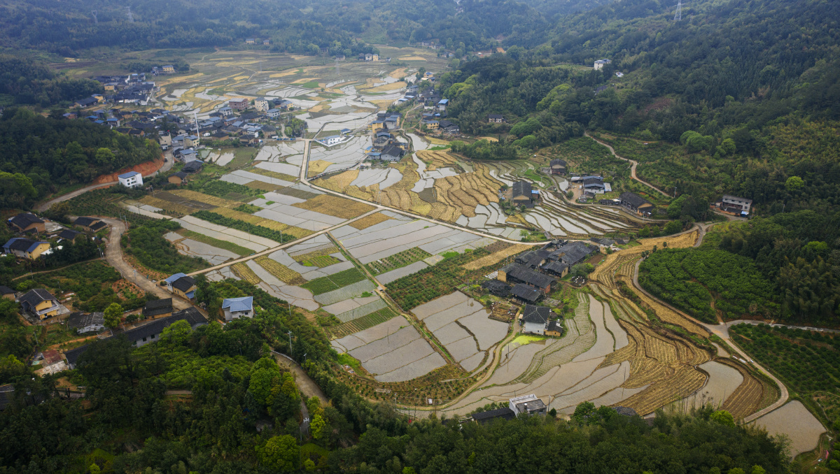 福建闽清樟洋村这里有美丽的梯田还有清华大学乡村振兴工作站闽清站