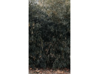 CECDCA09-E78C-4DB6-9140-A2F5C29DACBF/L0/001