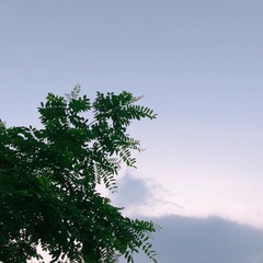 CEE95028-0475-4E38-B806-78E5989D5393/L0/001