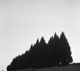 260276